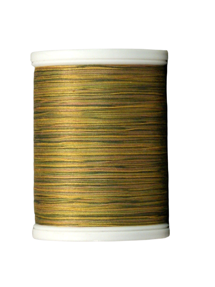 YLI Quilting Thread in Green to Tan Variegated 08V 