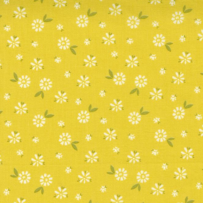 Quilting Fabric - Daisies on Citrine Yellow from Seashore Drive by Sherri & Chelsi for Moda 37622 12