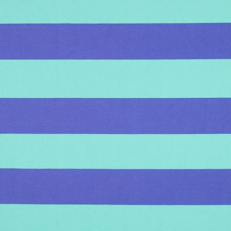 Cotton Canvas Fabric with Wide Stripes in MInt and Blue