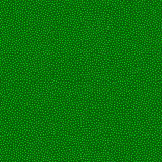 Quilting Fabric - Stipple in Green from Mixmasters Mashup by Patrick Lose for Northcott 10004-73