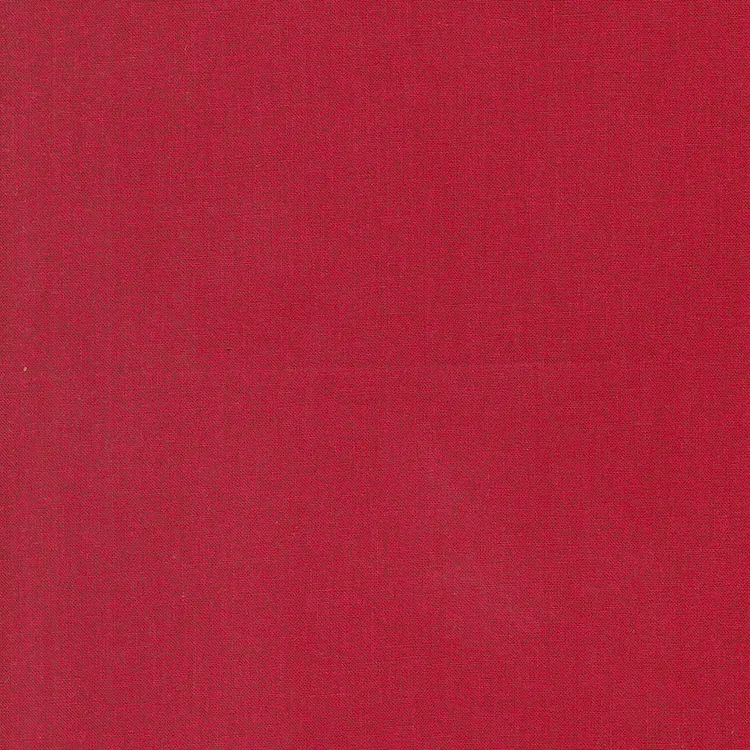 Quilting Fabric - Subtle Daisy Outline on Red from Time and Again by Linzee McCray for Moda 23366 17
