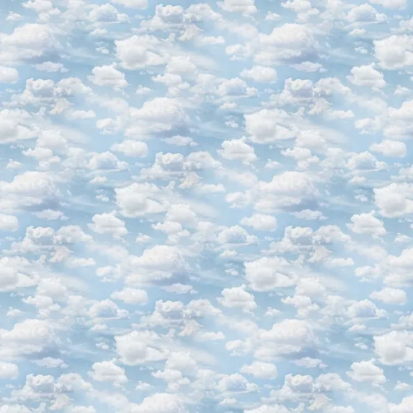 Quilting Fabrics - Clouds from Naturescapes by Northcott 25490-42