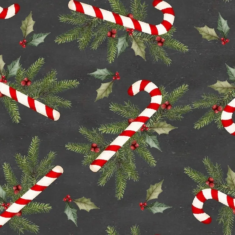 Quilting Fabric - Candy Cane and Foliage on Black by Beth Albert for 3 Wishes Fabric 24615