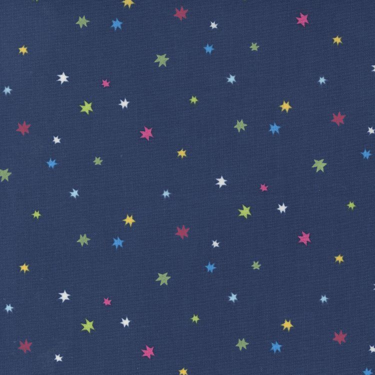Quilting Fabric - Stars on Navy Blue from Rainbow Garden by Abi Hall for Moda 35366 18