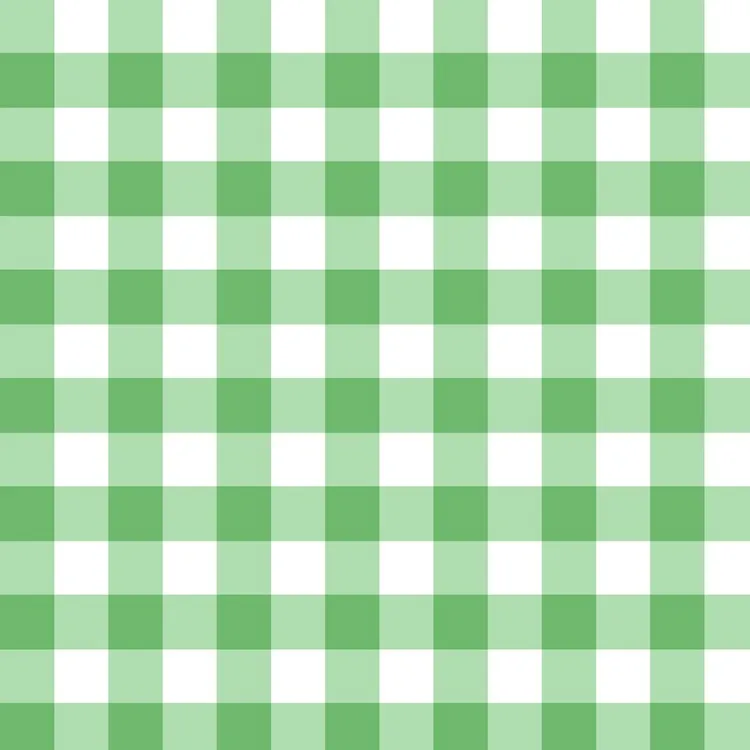 Quilting Fabric - Gingham Check in Green from Gingham Zest by Craft Cotton Co.
