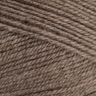 Yarn - Stylecraft Special Aran with Wool 400g in Tawny Brown Nepp 7046