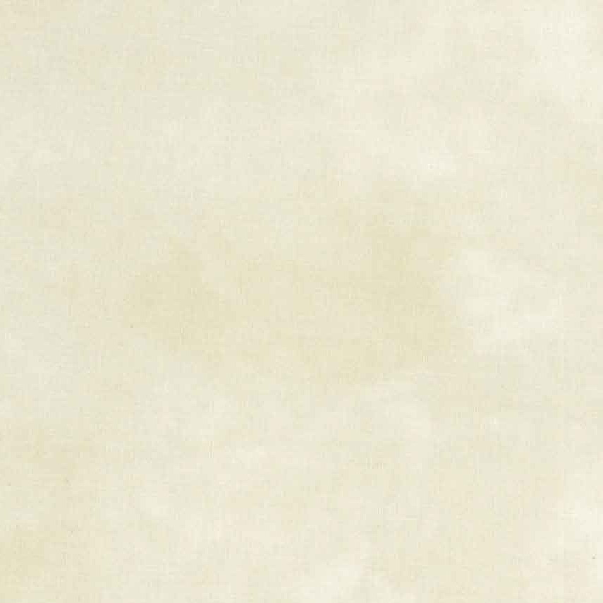 Quilting Fabric - Quilter's Shadow in Cream Colour 4516 101 by Stof