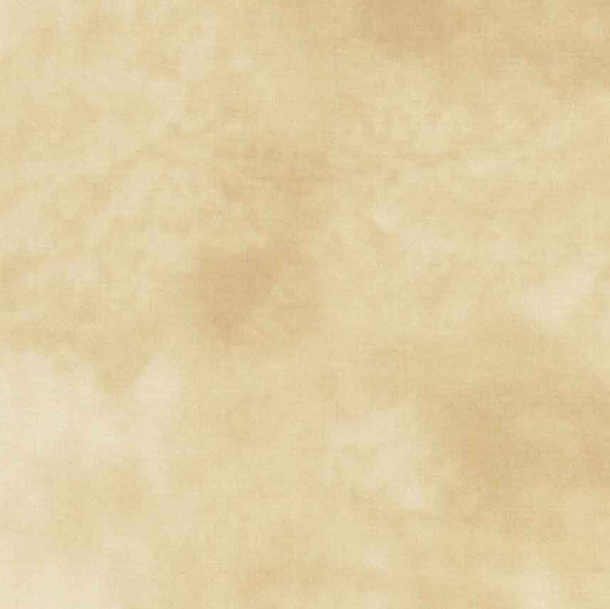 Quilting Fabric - Quilter's Shadow in Rich Cream Colour 4516 102 by Stof 