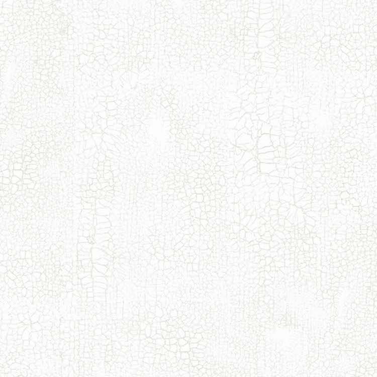 Quilt Backing Fabric 108" Wide - Crackle in Snow White by Northcott Studio B9045-10