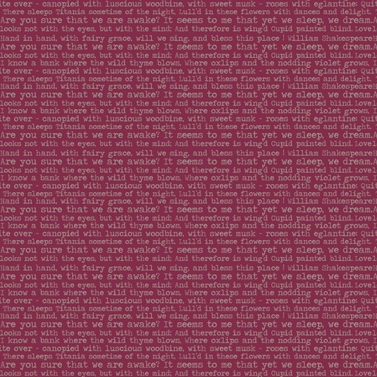 Quilting Fabric - Text from Whimsical Romance by Keera Job for Riley Blake Designs C11085R-Raspberry