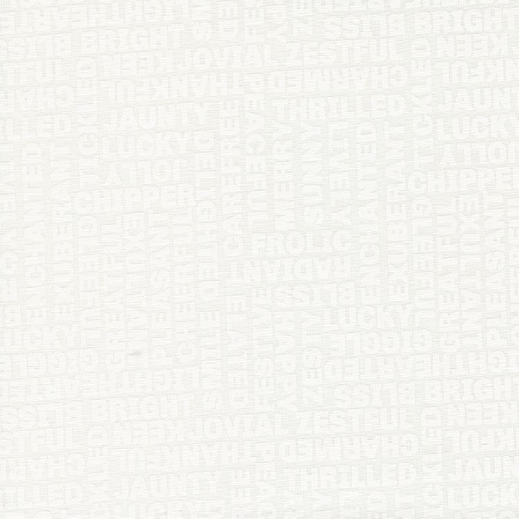 Quilting Fabric - Words White On White from Coriander Seeds by Corey Yoder for Moda 29141 11