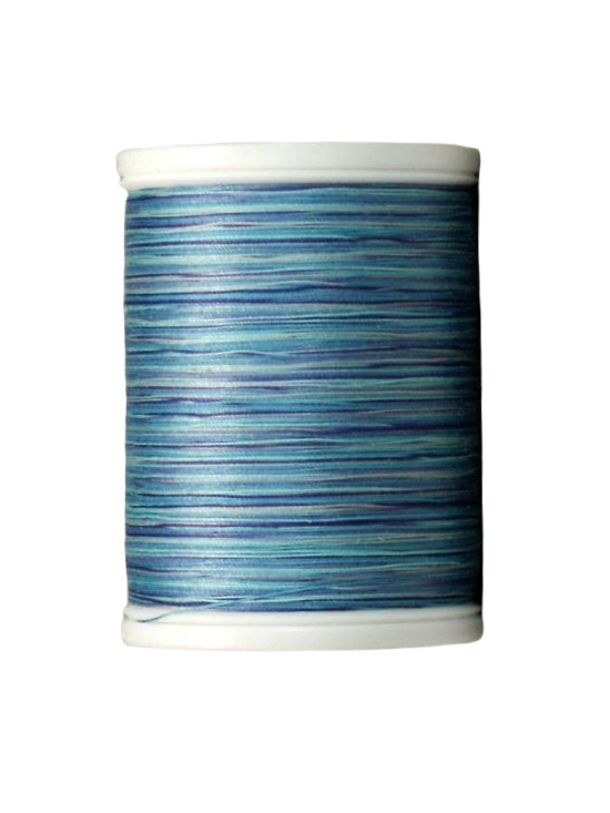 YLI Quilting Thread in Danube Blues Variegated V80 