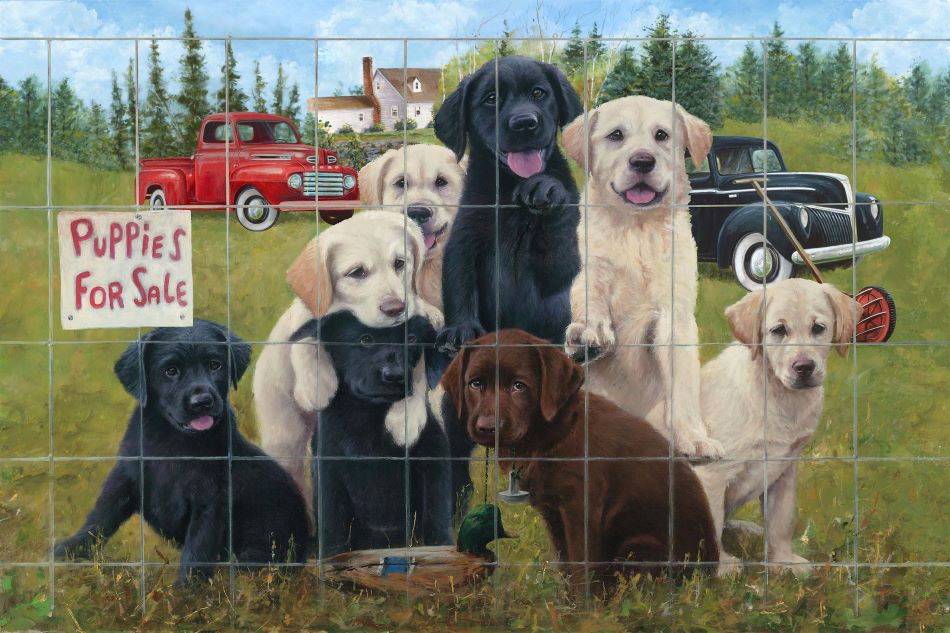 Quilting Fabric Panel - Puppies For Sale by Jim Killen for Northcott DP24250-74