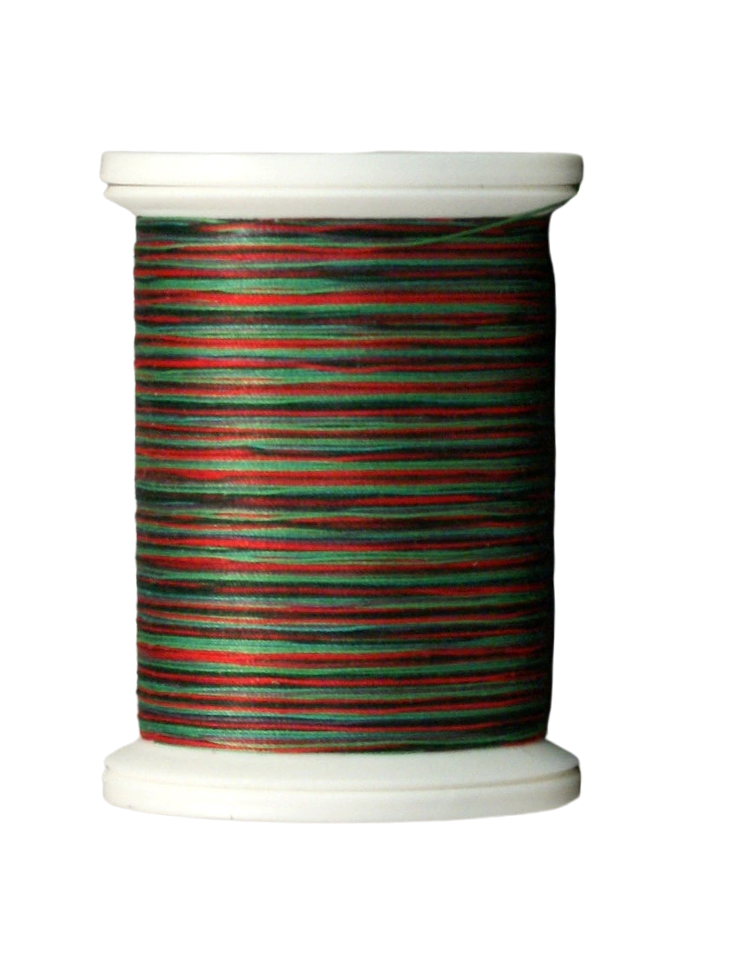 YLI Quilting Thread in Festival Variegated 14V 
