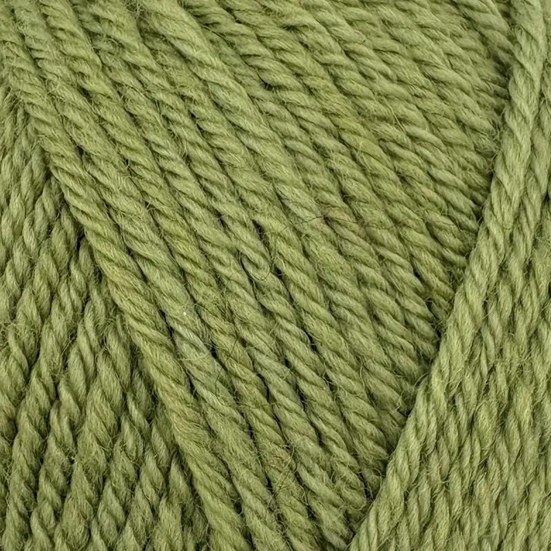 Yarn - Stylecraft Naturals Pure Wool DK in Meadow Green 1065