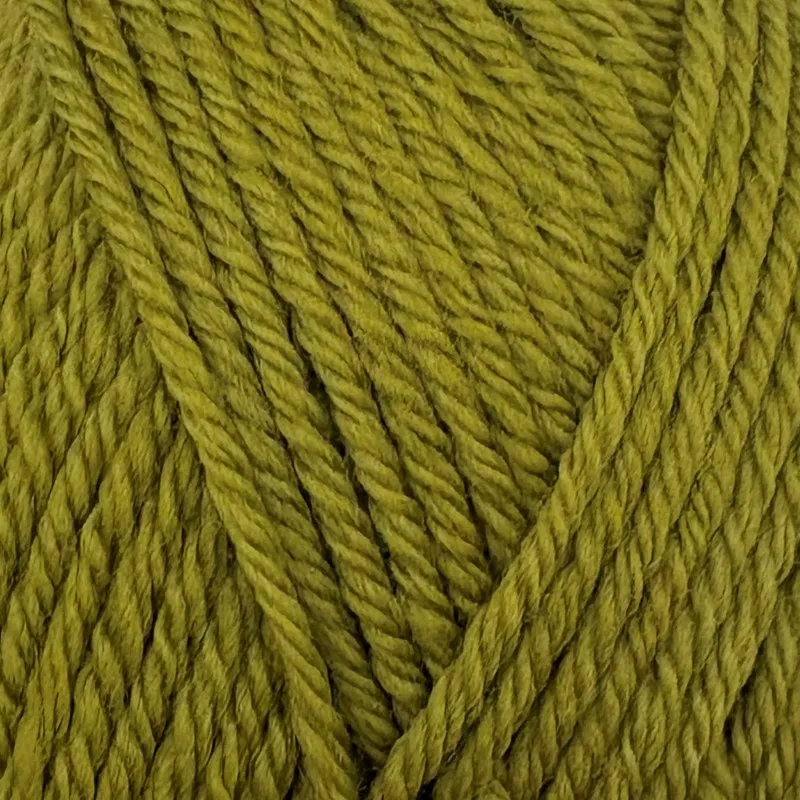 Yarn - Stylecraft Naturals Pure Wool DK in Mistletoe Green 2180
