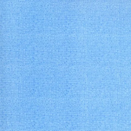 Quilting Fabric - Thatched in Mist Light Blue by Robin Pickens for Moda 48626 146