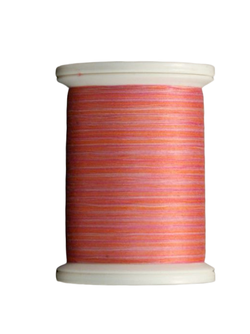 YLI Quilting Thread in Paris Boutique Variegated V74 