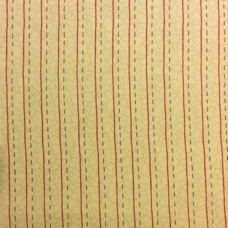 Quilting Fabric - Lines from Count Your Blessings by Kathy Schmitz for Moda 6086 14