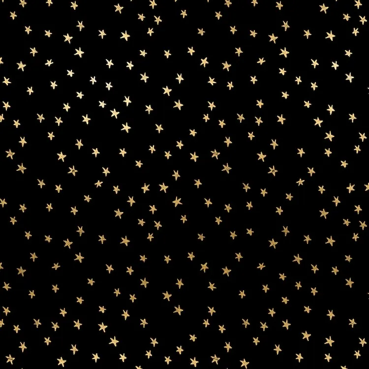 Quilting Fabric - Small Gold Metallic Stars on Black from Starry by Alexia Abegg for Ruby Star RS4110 27M