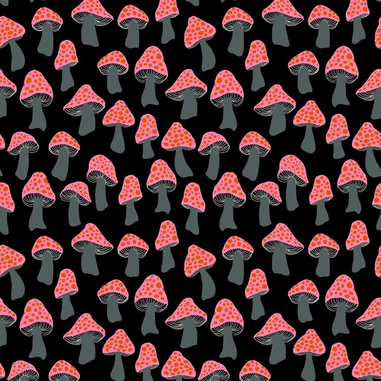 Quilting Fabric - Mushrooms on Black from Firefly by Sarah Watts for Ruby Star Society RS2072 15